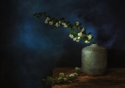  av Saskia Dingemans