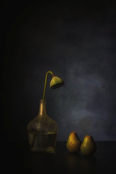  av Saskia Dingemans