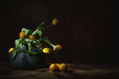 av Saskia Dingemans