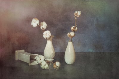  av Saskia Dingemans