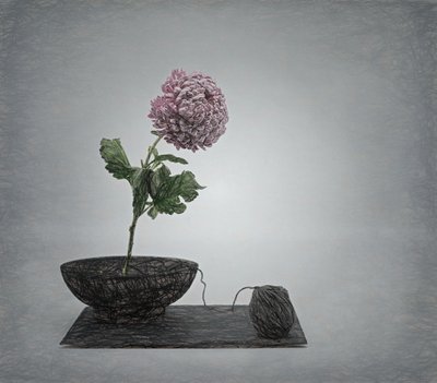  av Saskia Dingemans
