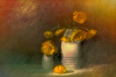  av Saskia Dingemans