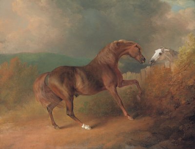 Oberst Thorntons Jupiter, av Eclipse out of a Mare av Tartar, ved et gjerde, med en grå hoppe, på Thornville Royal, 1792 av Sawrey Gilpin