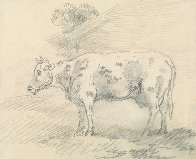 Ku av Sawrey Gilpin