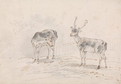Doe og Buck av Sawrey Gilpin