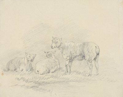 Tre sauer av Sawrey Gilpin