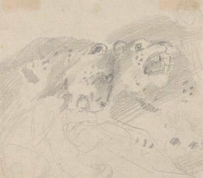 To leoparder av Sawrey Gilpin