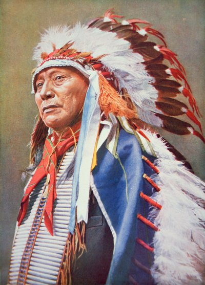 Chief Hollow Horn Bear (1850-1913) (farge litho) av School American