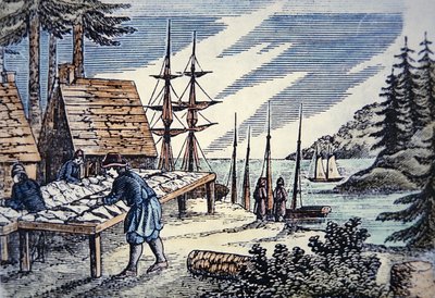 Fiskere som tørker torsk i New England, fra et tresnitt fra 1600-tallet (farge litho) av School American