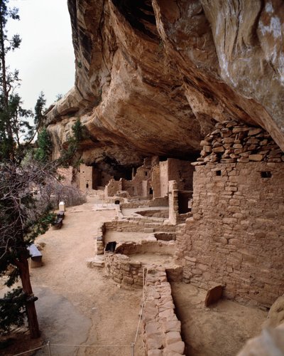 Utsikt over stedet for grantrehus (1993, fotografi) av School Anasazi