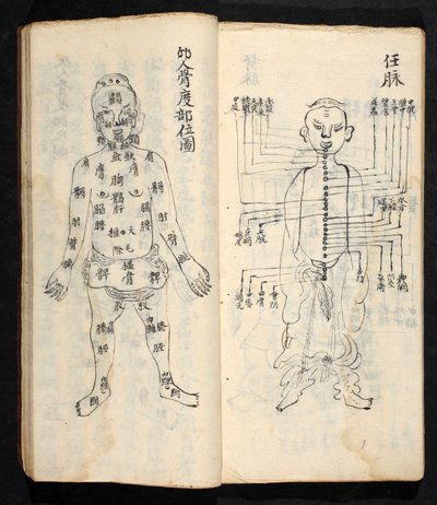 Akupunkturpunkter langs den sentrale linjen i kroppen, fra Jing Guan Qi Zhi, 