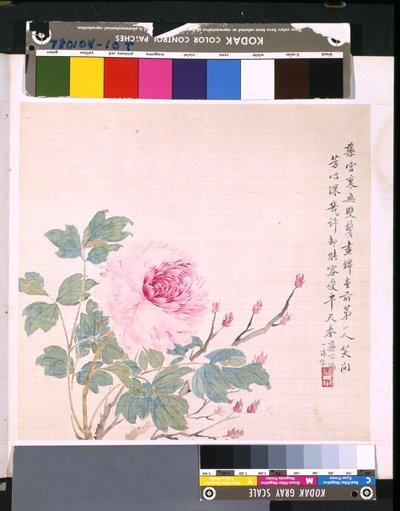  av School Chinese