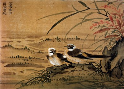 Kunst Kina: Fugler. Silkemaleri av Li youen kien fra 1500-tallet. Paris, BN av School Chinese