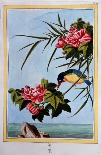 Fugl på en gren (Fugleflue?) Gouache fra 1700-tallet Dijon, kommunalt bibliotek av School Chinese