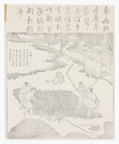 Å flå risen av School Chinese