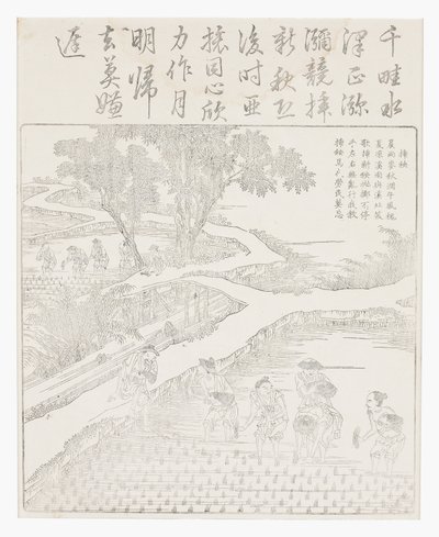 Plante risen av School Chinese