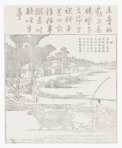 Pløying med en vannbøffel i gjørmete ris paddy. av School Chinese