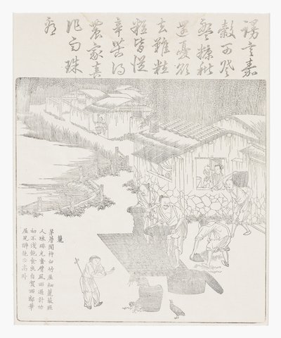 Sikting av risen av School Chinese