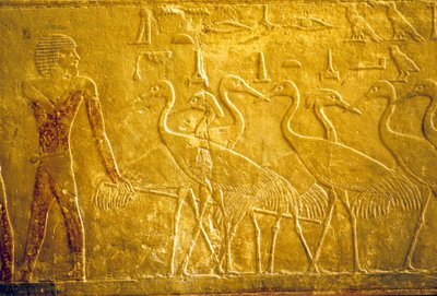  av School Egyptian