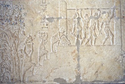 Det gamle Egypt, veggutskjæring/maleri, graven til Petosiris, Tuna el Gebel, 300 f.Kr., vinhøst, vinproduksjon, vinpresse (bilde) av School Egyptian