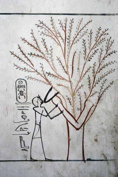 Luxor, Theben: Kongenes dal. Tomb of Thutmosis (Tuthmosis eller Thutmes) III (-1504 - -1450), farao av Egypt. av School Egyptian