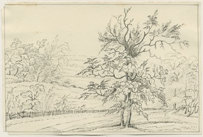 Cannock Chase: penn- og blyanttegning, nd [?1800-tallet] (tegning) av School English