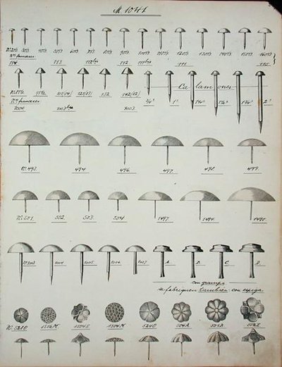 Spiker, stifter og stifter, fra en handelskatalog over husholdningsvarer og beslag, ca. 1890-1910 (lito) av School English