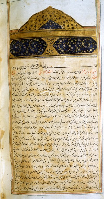 Side fra The Canon of Medicine (al-Qānūn fī aṭ-Ṭibb) av Avicenna av School Iranian