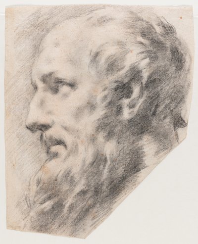 Profilhode (kull på papir) av School Italian