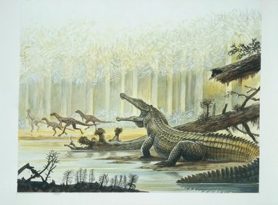 Rutiodon med Fabrosaurus i bakgrunnen, triasperiode (farge litho) av School Italian