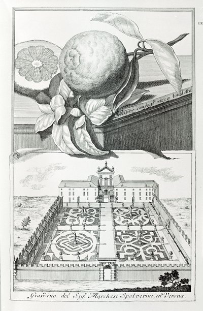 Villa til Marquis Spolverini av Verona, fra "Villaer, hager og landskap i Venezia" av A. Volkamer (gravering) av School Italian