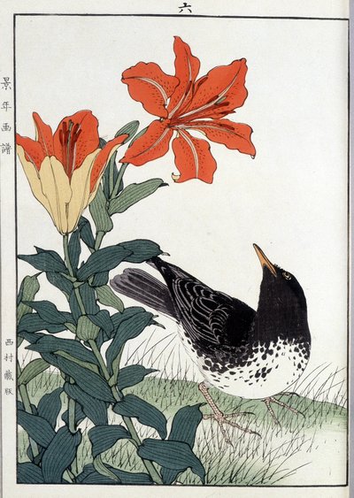 Svarttrost og liljeblomster - japansk trykk av Japanese School