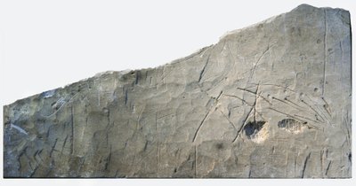 Hebraisk gravinskripsjon fra Beth Loya, foten av Judea, Israel, 6. århundre f.Kr. (stein) av School Levantine