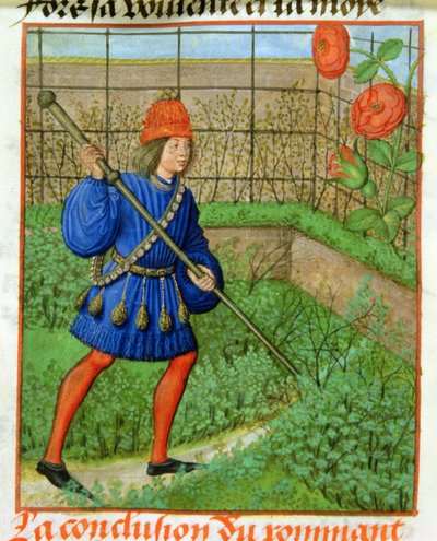 Harl 4425 f.184v Elskeren oppnår rosen, fra 'Roman de la Rose', Brugge, ca. 1490-1500 (vellum) av School Netherlandish