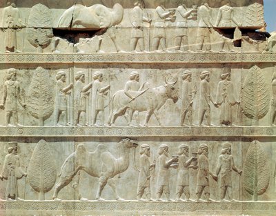 Detalj av reliefffrisen på den østlige trappen til Apadana (publikumssal) som viser delegater fra imperiets emneland med overdådige gaver til en seremoni, akemensk periode, ca. 515 f.Kr. (kalkstein) av School Persian