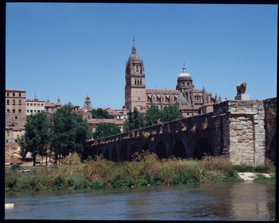 Utsikt over romersk bro over elven, Tormes og katedralen av School Spanish