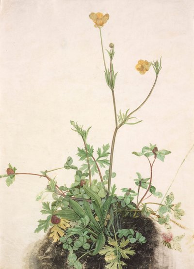  av School of Albrecht Dürer