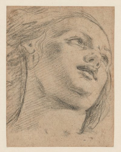 Kvinnelig hodestudium ser opp til høyre (recto); Studie av to figurer som støtter et objekt (verso) av School of Guido Reni