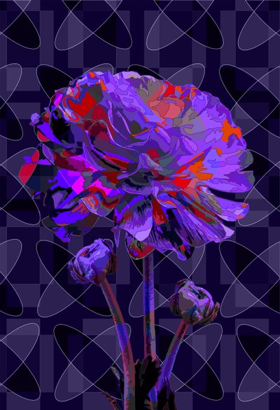 Nellik 2, 2019 av Scott J. Davis