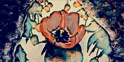 Vannlilje, 2021 av Scott J. Davis