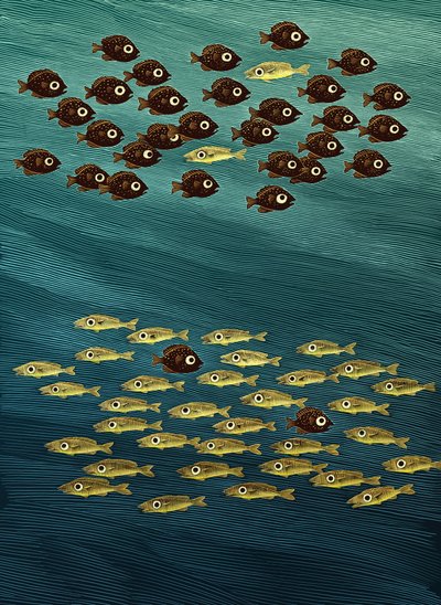 Fisk, 2010 (skrapebrett, digitalt fargelagt) av Scott McKowen