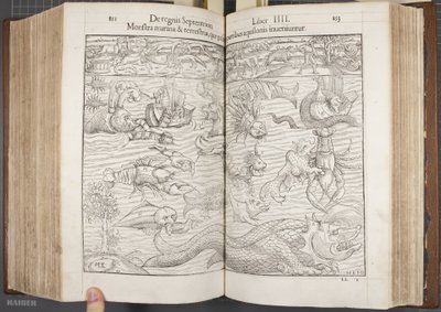 Cosmographia, Fol 852-853, 1544 av Sebastian Munster
