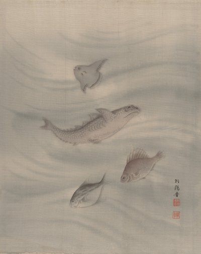 Fisk, ca. 1890-92. av Seki Shuko