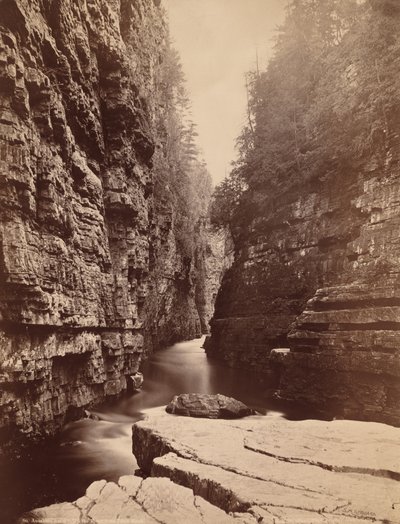 Ausable Chasm - Up the River fra Table Rock av Seneca Ray Stoddard