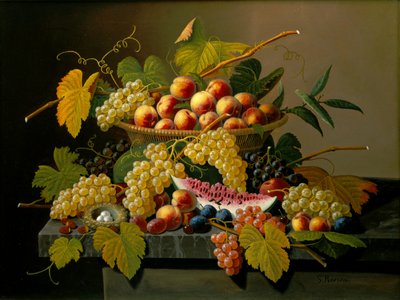  av Severin Roesen