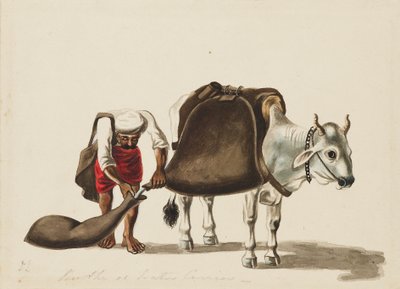 Vannbærer, c1810 av Sewak Ram