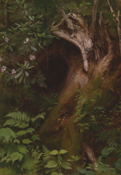 Ekornet av Seymour Joseph Guy