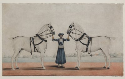 A Syce (Groom) Holding Two Carriage Horses, ca. 1845 (ugjennomsiktig akvarell på papir) av Shaik Muhammad Amir of Karraya (attr. to)