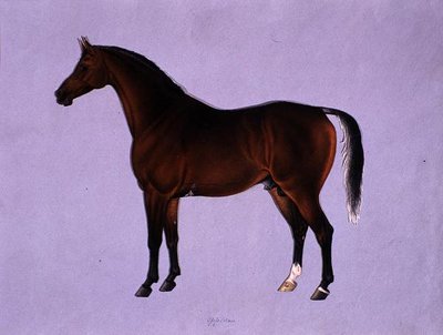 Oppidan, ca. 1840 (akvarell på papir) av Shaik Muhammad Amir of Karraya