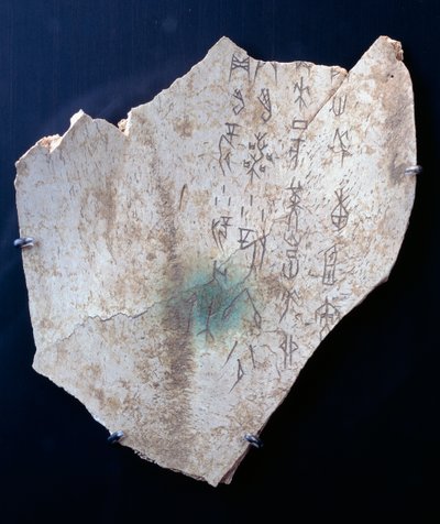 Piktogram på en okse scapula med et ritual for å avverge fare (bein) av Shang Dynasty Chinese School